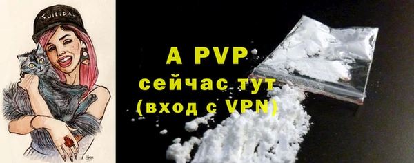 PSILOCYBIN Мегион