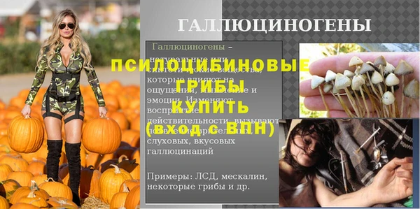PSILOCYBIN Мегион