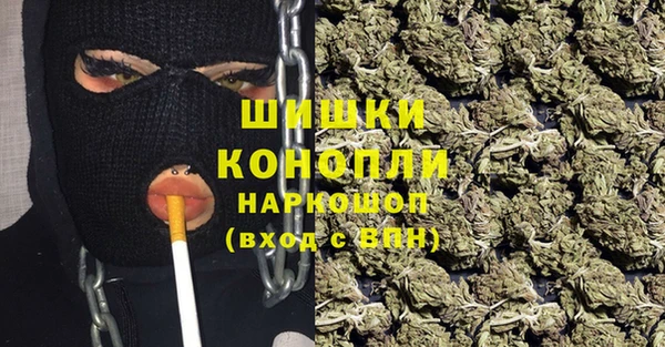 PSILOCYBIN Мегион