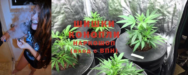 гидра Медвежьегорск