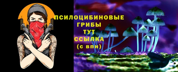 гидра Медногорск