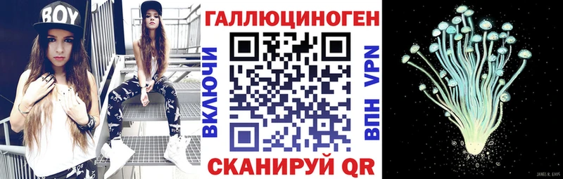 Псилоцибиновые грибы ЛСД  что такое наркотик  сайты даркнета формула  Хадыженск 